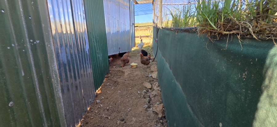 2 Bedroom Property for Sale in Twee Riviere Eastern Cape
